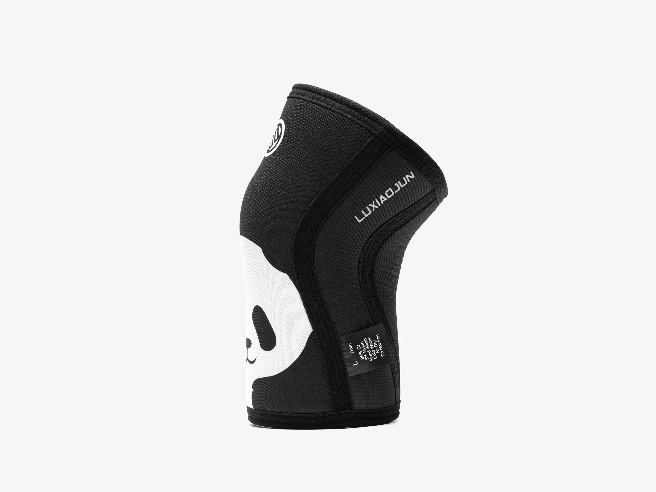 PANDA2